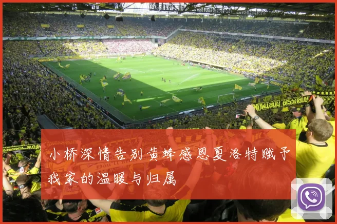 小桥深情告别黄蜂感恩夏洛特赋予我家的温暖与归属
