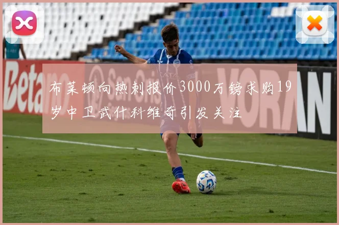 布莱顿向热刺报价3000万镑求购19岁中卫武什科维奇引发关注